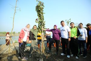 Surabaya Canangkan Kebun Raya Mangrove Pertama di Dunia