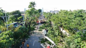 Di Surabaya Sampah Ranting Pohon pun Bisa Bernilai