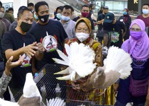 Usai Buka Pameran Walikota Borong Burung Merpati