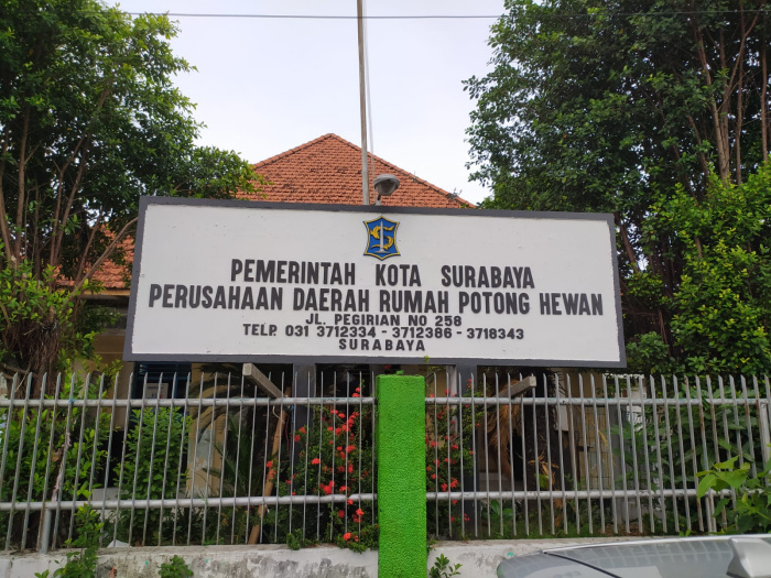 DKPP Surabaya Respons Cepat Cegah Masuknya Penularan Virus PMK