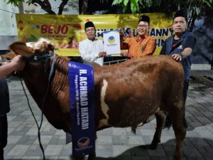 NasDem Jatim Serahkan Sapi Kurban ke Masjid dan Pesantren