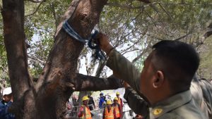 Usai Direlokasi ke SIB, Pemkot Mulai Bersihkan Sampah Sisa Lapak PKL Pantai Batu-Batu Kenjeran