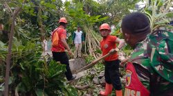 Pemkot Surabaya Gotong Royong Tangani Bencana Angin Puting Beliung di Mulyorejo